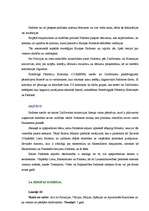 Research Papers 'Romas līgumi', 10.