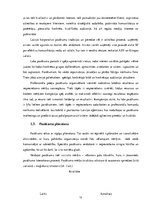 Research Papers 'Sabiedrisko attiecību pasākumu organizēšana korporatīvas komunikācijas aģentūrā ', 12.