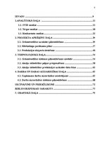 Term Papers 'Tirdzniecības un ražošanas uzņēmuma darbības pilnveidošanas projekts', 8.