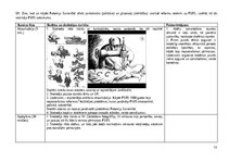 Practice Reports 'Skolotāja prakses pārskats', 11.