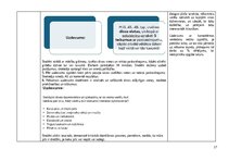 Practice Reports 'Skolotāja prakse', 17.