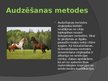Presentations 'Zirgu selekcija Latvijā', 4.