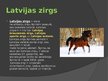 Presentations 'Zirgu selekcija Latvijā', 9.