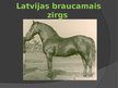Presentations 'Zirgu selekcija Latvijā', 11.