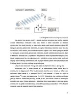 Research Papers '2-[Dimetil(3-morfolīnopropil)silil]-5-trietilgermilfurāna sintēze un struktūras ', 18.