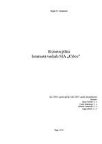 Business Plans 'Interneta veikals SIA "Cibos"', 1.