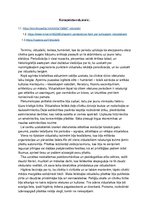 Summaries, Notes 'Viduslaiki', 1.