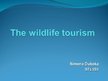 Presentations 'The Wildlife Tourism', 1.