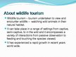 Presentations 'The Wildlife Tourism', 3.
