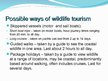 Presentations 'The Wildlife Tourism', 5.