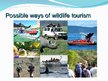 Presentations 'The Wildlife Tourism', 6.