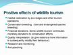 Presentations 'The Wildlife Tourism', 8.