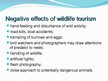 Presentations 'The Wildlife Tourism', 9.