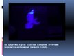 Presentations 'Ультрафиолетовое излучение, инфразвук, магнитное поле Земли, магнитные бури, шар', 7.