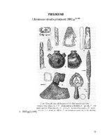 Research Papers 'Arheoloģiskie pētījumi Cēsu ordeņpilī', 12.