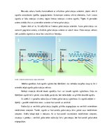 Research Papers 'Cirkulāras polarizācijas antenas', 7.