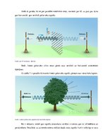 Research Papers 'Cirkulāras polarizācijas antenas', 8.