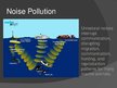 Presentations 'Marine Pollution', 6.