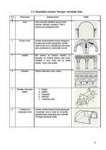 Research Papers 'Vecrīgas baznīcu viduslaiku arhitektūras stili', 18.