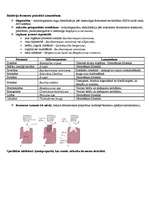 Summaries, Notes 'Baktēriju šūnu ķīmiskais sastāvs', 3.