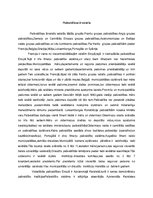 Research Papers 'Pašvaldības', 9.