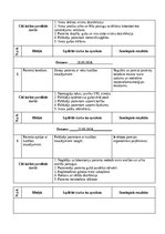 Practice Reports 'Māsu paliga dienasgrāmata', 37.