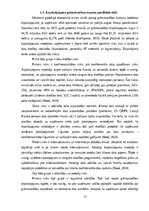 Term Papers 'Ārpakalpojumu grāmatvedības nozares riski un to mazināšanas iespējas', 17.