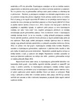 Term Papers 'Ārpakalpojumu grāmatvedības nozares riski un to mazināšanas iespējas', 19.