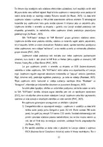 Term Papers 'Ārpakalpojumu grāmatvedības nozares riski un to mazināšanas iespējas', 22.