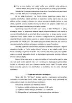 Term Papers 'Ārpakalpojumu grāmatvedības nozares riski un to mazināšanas iespējas', 24.