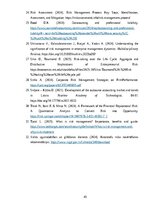 Term Papers 'Ārpakalpojumu grāmatvedības nozares riski un to mazināšanas iespējas', 45.