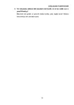 Term Papers 'Ārpakalpojumu grāmatvedības nozares riski un to mazināšanas iespējas', 51.