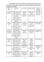 Term Papers 'Ārpakalpojumu grāmatvedības nozares riski un to mazināšanas iespējas', 56.