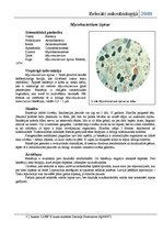 Research Papers 'Dažas patogēnās baktērijas', 3.