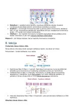 Summaries, Notes 'RSU Molekulārā un šūnu bioloģija 2. kolokvijam vajadzīgais konspekts', 4.