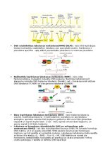 Summaries, Notes 'RSU Molekulārā un šūnu bioloģija 2. kolokvijam vajadzīgais konspekts', 8.