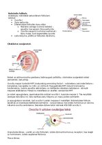 Summaries, Notes 'RSU Molekulārā un šūnu bioloģija 2. kolokvijam vajadzīgais konspekts', 11.