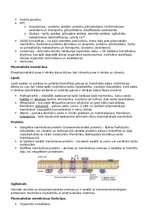 Summaries, Notes 'RSU Molekulārā un šūnu bioloģija 2. kolokvijam vajadzīgais konspekts', 16.