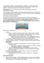 Summaries, Notes 'RSU Molekulārā un šūnu bioloģija 2. kolokvijam vajadzīgais konspekts', 20.