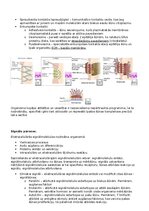 Summaries, Notes 'RSU Molekulārā un šūnu bioloģija 2. kolokvijam vajadzīgais konspekts', 21.