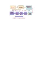 Summaries, Notes 'RSU Molekulārā un šūnu bioloģija 2. kolokvijam vajadzīgais konspekts', 25.