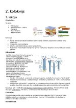 Summaries, Notes 'RSU Molekulārā un šūnu bioloģija 2. kolokvijs', 1.