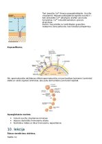 Summaries, Notes 'RSU Molekulārā un šūnu bioloģija 2. kolokvijs', 15.