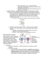 Summaries, Notes 'RSU Molekulārā un šūnu bioloģija 2. kolokvijs', 18.