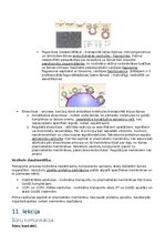 Summaries, Notes 'RSU Molekulārā un šūnu bioloģija 2. kolokvijs', 19.