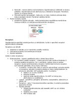 Summaries, Notes 'RSU Molekulārā un šūnu bioloģija 2. kolokvijs', 22.