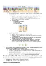 Summaries, Notes 'RSU Molekulārā un šūnu bioloģija 2. kolokvijs', 23.
