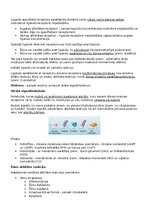 Summaries, Notes 'RSU Molekulārā un šūnu bioloģija 2. kolokvijs', 24.