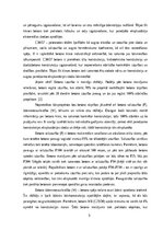 Research Papers 'Betona un dzelzsbetona konstukcijas', 5.