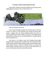 Research Papers 'Spilves pļavas – vieta dzīvojamās un noliktavu apbūves teritorijas attīstībai ', 4.